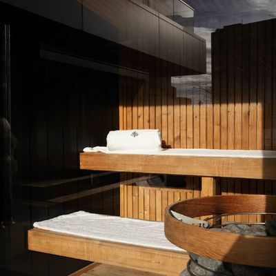 Affordable Eco Friendly 2 Person Traditional Sauna Room Hemlock/Red Cedar Sauna Room Indoor