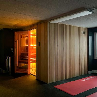 Affordable Indoor 1-2 Person Infrared Sauna with Dry Steam Colorful Light