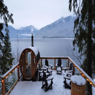 Custom Traditional Sauna Room with Shower Carbon Far Infrared Combination 2-6 Person