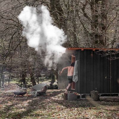 Factory Supply Outdoor Sauna 2-4 Person Family Traditional Steam Sauna Hemlock/Red Cedar Spa