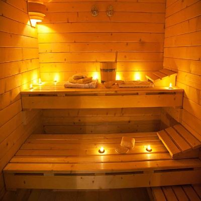 Factory Supply Traditional Steam Sauna with Wet Steam and Pure Hemlock Construction