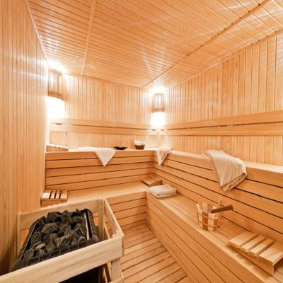 Factory Supply Traditional Steam Sauna with Wet Steam and Pure Hemlock Construction