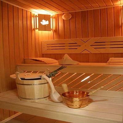 Affordable 2-4 Person Sauna Room Forest Cabin Design with Wet Steam and Colorful Star Light