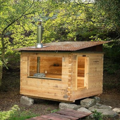 Factory Sales Wood Burning Sauna Stove Sauna Heater for Dry Steam Sauna